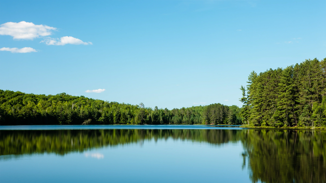 Lac paisible entouré de forêt dense sous ciel bleu, reflets miroir, nature française écoresponsable